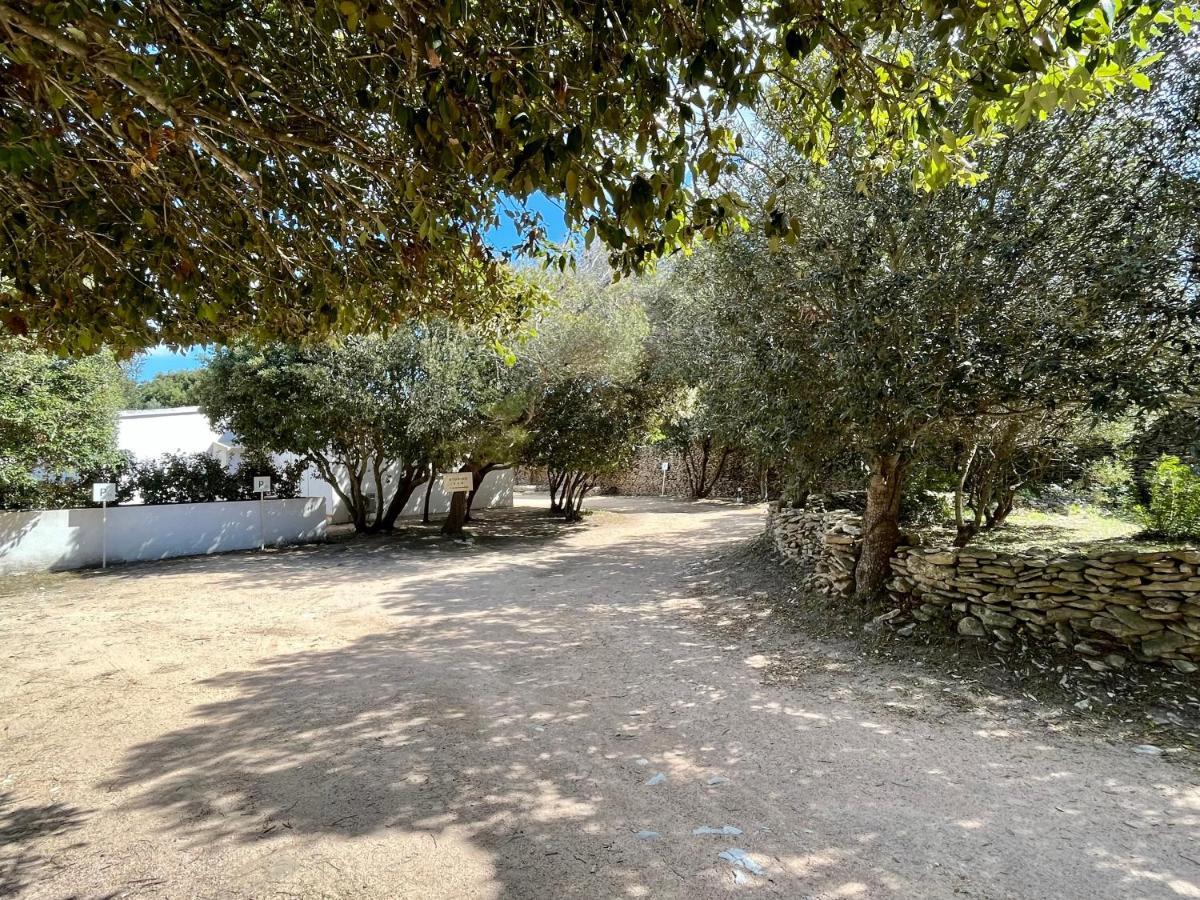 Domaine De Licetto Bonifacio (Corsica)